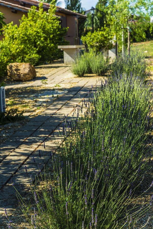 Agriturismo Poggio Di Maremma Pescia Romana Exterior photo